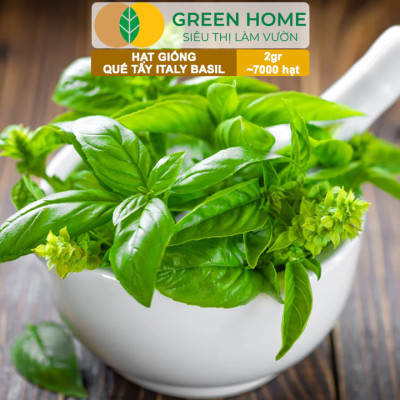 Hạt Giống Quế Tây Italy Basil GreenHome, Gói 2g~7000 hạt, Dễ Trồng Quanh Năm, Tỉ Lệ Nảy Mầm Cao G21