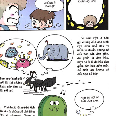 10 Vạn Câu Hỏi Vì Sao - Khám Phá Thế Giới Vi Sinh Vật (Tái Bản)