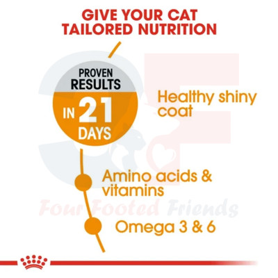 Thức Ăn Chăm Sóc Da Lông Dành Cho Mèo Royal Canin Hair Skin