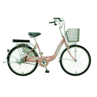 Xe Đạp Nữ Asama 24″ CLD-BR2401