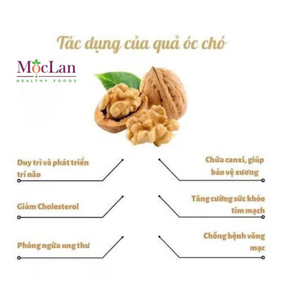 Dầu Óc Chó Tự Nhiên Mộc Lan Healthy 100ml - 250ml Omega 369 Vitamin E phụ nữ có thai, cho con bú, trẻ ăn dặm, người già