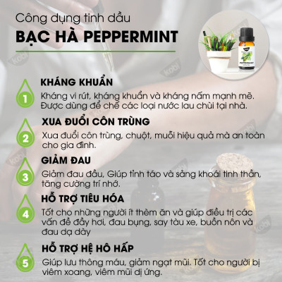 Combo 3 Tinh Dầu Kobi Nhập Khẩu Ấn Độ: Tinh Dầu Bạc Hà (30ml) + Tinh Dầu Oải Hương (30ml) + Tinh Dầu Vỏ Bưởi (30ml) - Tinh Dầu Thiên Nhiên Nguyên Chất, Giúp Giảm Stress, Xua Đuổi Côn Trùng Và Khử Mùi Hiệu Quả, Thích Hợp Dùng Với Đèn Xông Và Máy Khuếch Tá