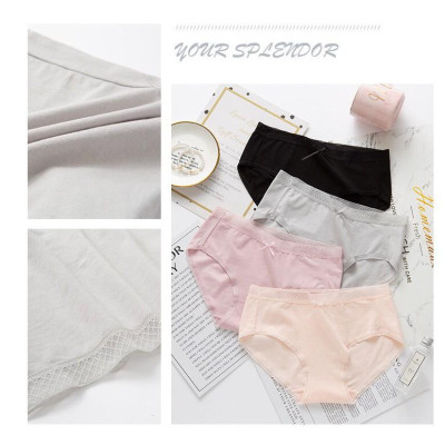 Quần Lót Hip Bow Cotton Phong Cách Hàn Quốc (Mã WL14)