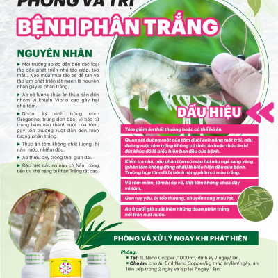 Combo Phòng Ngừa Bệnh Phân Trắng Nano Viẹtnam Tech Tăng Sức Đề Kháng, Gan Khỏe, Ruột Tốt