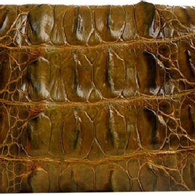 Ví Nữ Huy Hoàng HT3218 (10.5 x 19 cm) - Xanh Rêu