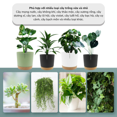 Chậu tự tưới thông minh Monrovia cho hoa, cây cảnh trong nhà và ngoài trời hình trụ tròn