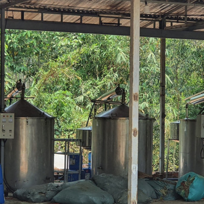 Tinh dầu Chanh tươi (Chanh Thái) 10ml Mộc Mây - tinh dầu thiên nhiên nguyên chất 100% - chất lượng và mùi hương vượt trội - Có kiểm định