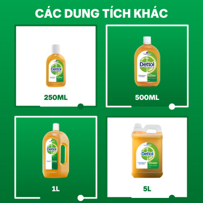 Combo 2 dung dịch diệt khuẩn 1L