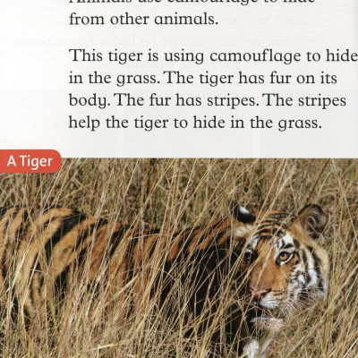 Oxford Read and Discover: Level 2: Camouflage