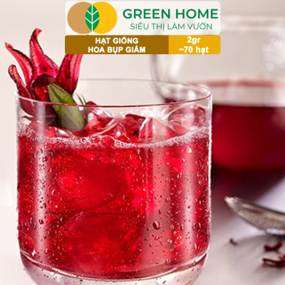 Hạt Giống Atiso Đỏ (Bụp Giấm) Greenhome, Gói 2gr~70 hạt, Dễ Trồng, Thu Hoạch Nhanh, Năng Suất Cao T20