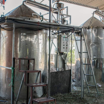 Tinh dầu sả chanh 50ml Mộc Mây - tinh dầu nguyên chất 100% từ thiên nhiên - chất lượng và mùi hương vượt trội