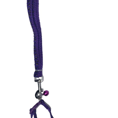 Dây dắt kèm vòng cổ có chuông cho Chó Mèo Dưới 5kg Bản rộng 1cm Dài 120cm Zichen In hình bất kỳ Chất liệu dù cao cấp