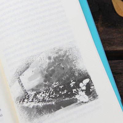 Cảm ơn vì đã vượt qua (NXB Trẻ)