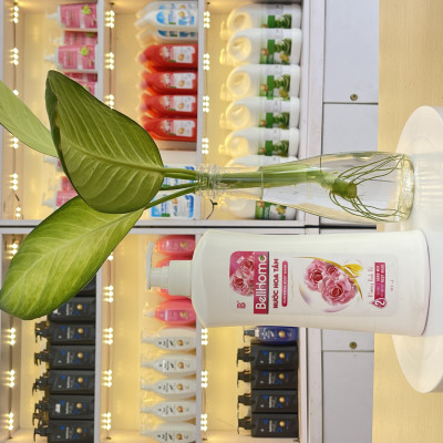 Nước Hoa Tắm Bell Home 800G