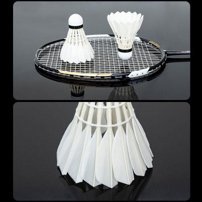 Hộp 12 quả cầu lông hộp xanh