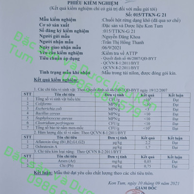 Đặc Sản Kon Tum - (Được Xem Hàng) Combo 3 Bì Chuối Hột Rừng Kon Tum Hút Chân Không (3Kg) - OCOP 3 Sao