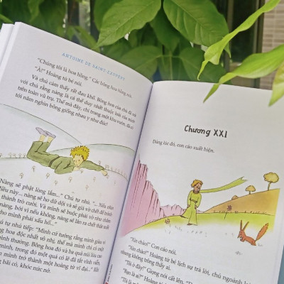 Sách - Hoàng Tử Bé ( NPH Đinh Tị Book)