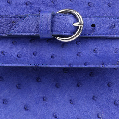 Túi Xách Da Đà Điểu Huy Hoàng HT6405 (32 x 25 cm) - Xanh Đậm