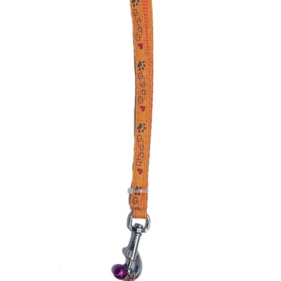 Dây dắt kèm vòng cổ có chuông cho Chó Mèo Dưới 5kg Bản rộng 1cm Dài 120cm Zichen In hình bất kỳ Chất liệu dù cao cấp