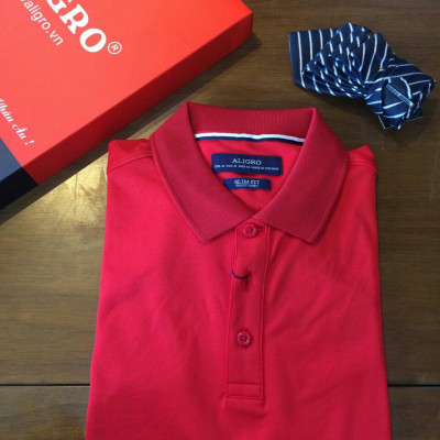 Áo phông nam Aligro APLOUA005