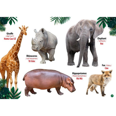 Sách - Từ Điển Bằng Hình Thế Giới Động Vật - Việt Thư