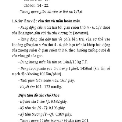 Nuôi Chó Mèo Và Nguy Cơ Lây Nhiễm Bệnh Từ Chó Mèo (Tái bản 2025)