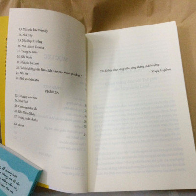 Sách - Nghề Giúp Việc - Công Việc Nặng Nhọc, Đồng Lương Ít Ỏi Và Ý Chí Sống Còn Của Người Mẹ - Stephanie Land