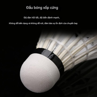 Hộp 12 quả cầu lông hộp xanh