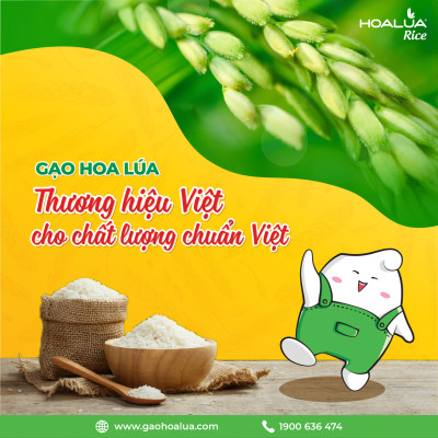 Gạo Hoa Lúa Xanh - Túi 2kg - Tơi xốp, mềm cơm, dẻo ít, thơm nhẹ