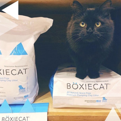 ￼[7.26kg] Cát vệ sinh Boxiecat hương tự nhiên không bụi 99.99% sản xuất tại Mỹ