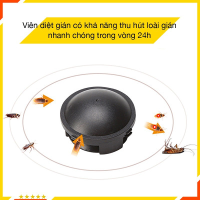 Viên Diệt Gián Nhật Bản, Hộp 12 Viên, Mùi Hương Nhẹ Nhàng, An Toàn Hiệu Quả