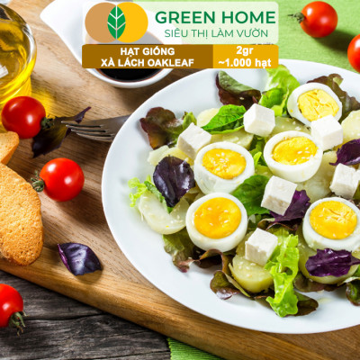 Hạt Giống Xà Lách Oakleaf, Gói 5gr~ 1000 hạt, Dễ Trồng Quanh Năm, Thu Hoạch Nhanh, Năng Suất Cao R22