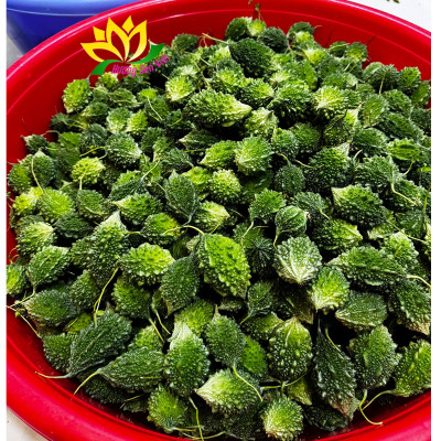 TRÀ TRÁI KHỔ QUA RỪNG HŨ 45g - HƯƠNG SEN VIỆT