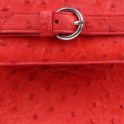 Túi Xách Da Đà Điểu Huy Hoàng HT6406 (32 x 25 cm) - Đỏ