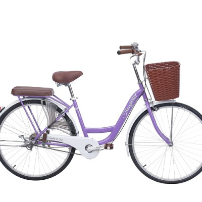 Xe đạp Thống Nhất mini New 26-Hàng chính hãng