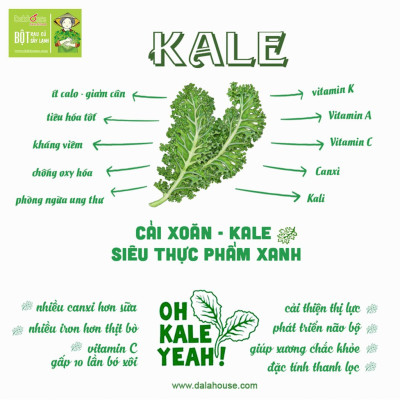 Bột cải xoăn kale Dalahouse 60gr (Mẫu mới gồm 20 tuýp tiện dụng) - Nguyên chất sấy lạnh - Detox thanh lọc cơ thể - Đạt tiêu chuẩn Châu Âu