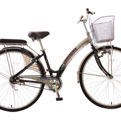 Xe đạp Asama ASA CLD - RA 2701 26 inch