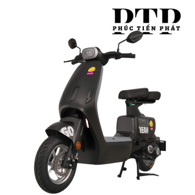 Xe Điện TAILG GR55