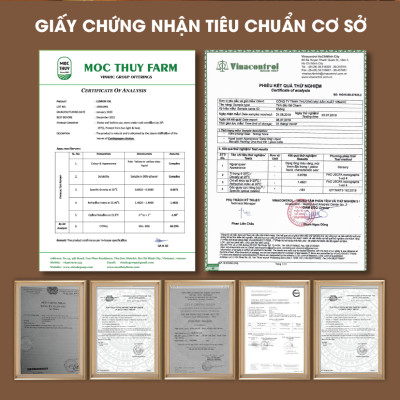 Tinh Dầu Gỗ Hồng Homer 100ml - Chính Hãng, Đạt Chuẩn Kiểm Định Cao Cấp - Tinh Dầu Xông Thơm Phòng, Thư Giãn, Khử Mùi hiệu quả
