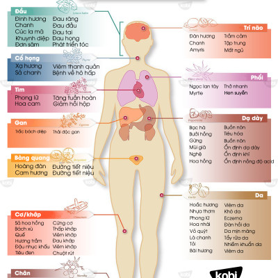 Tinh Dầu Ngọc Lan Tây Ylang Kobi Giúp Thư Giãn, Tạo Hứng Khởi (100ml)