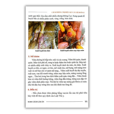 Sách - Cách Phòng Trị Hiệu Quả Các Bệnh Ở Gà - NXB Nông Nghiệp