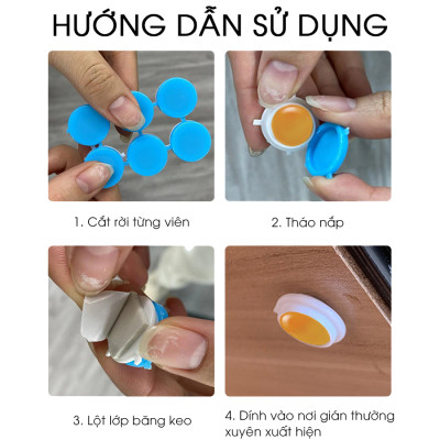 Thuốc diệt gián sinh học AMB, Viện Hàn lâm khoa học Việt Nam, diệt tận gốc tất cả các loại gián, hiệu quả, an toàn.