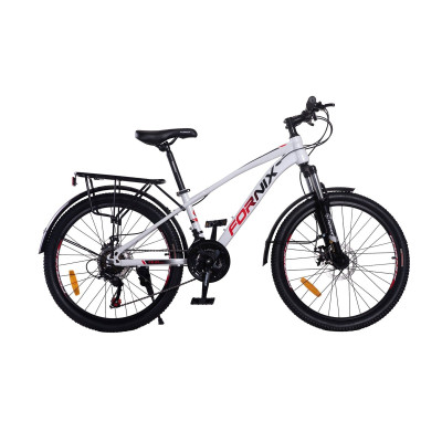 Xe Đạp Địa Hình Fornix FT24 Plus