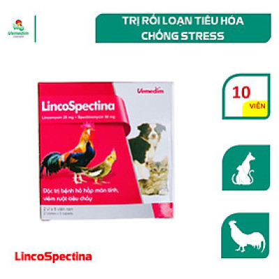 Vemedim LincoSpectina trị nhiễm trùng đường hô hấp và tiêu hóa cho cho chim, gà cảnh, chó, mèo, hộp 10 viên/hộp 50 viên