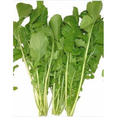 Hạt giống rau cải rocket cao sản CT341 - Gói 20gram