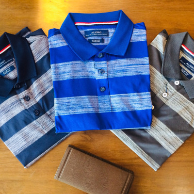 Áo phông nam Aligro ALGPLO59