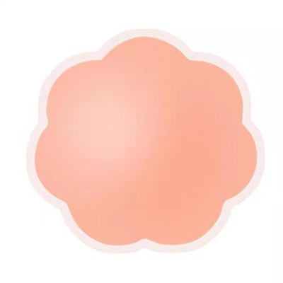 Miếng Dán Ti Hộp 5 cặp 10 Miếng Dán Ngực Tàng Hình H021