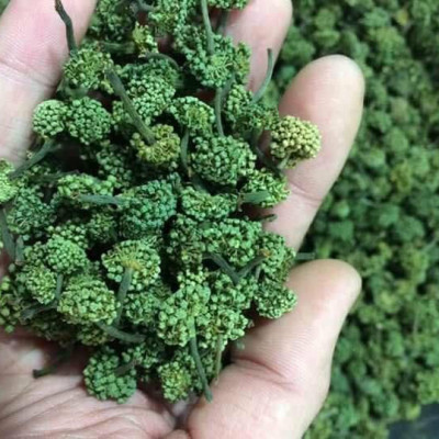 100gr Trà nụ hoa tam thất - Cao Cấp