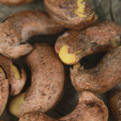 Combo Đậu Nành Sấy Cỏ Ngọt Vị Cay Hải Long (230g) + Hạt Điều Rang Muối Vỏ Lụa Hải Long (250g)